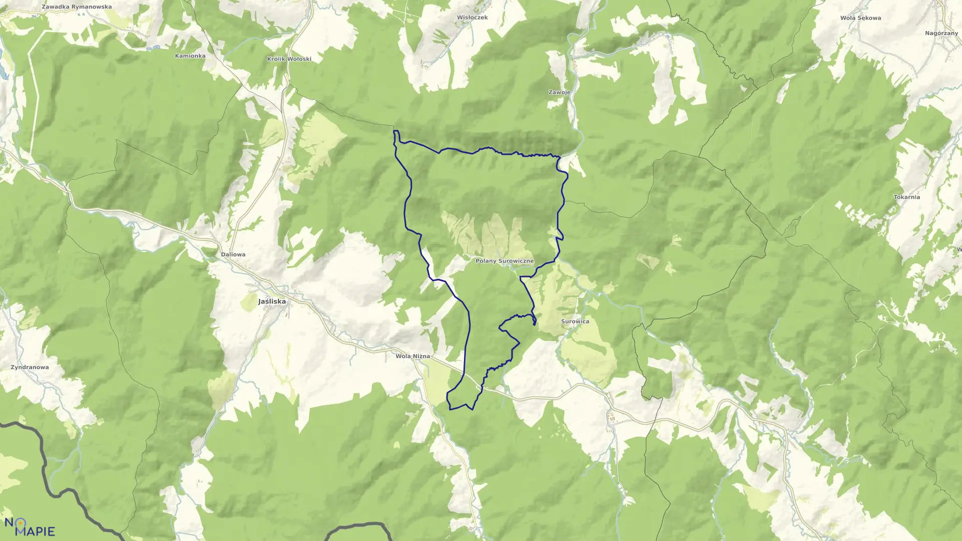 Mapa obrębu Polany Surowiczne w gminie Jaśliska