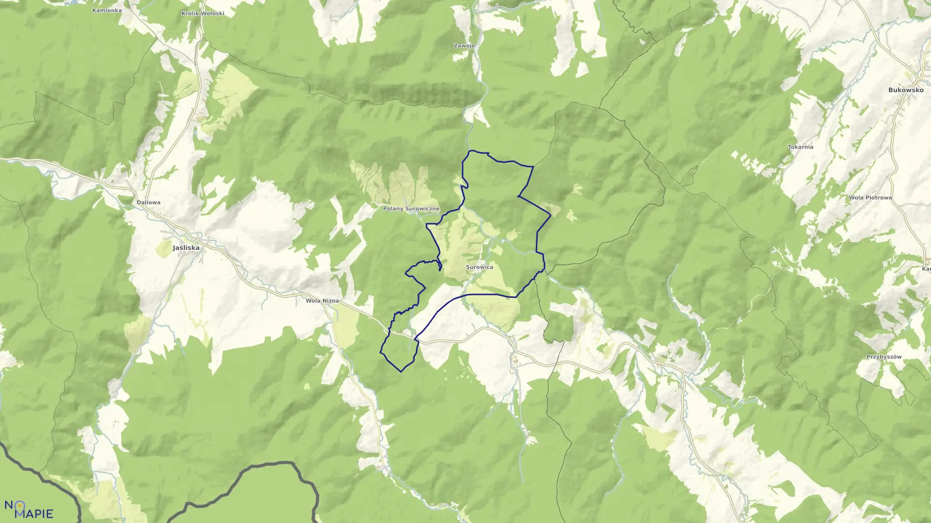 Mapa obrębu Surowica w gminie Jaśliska