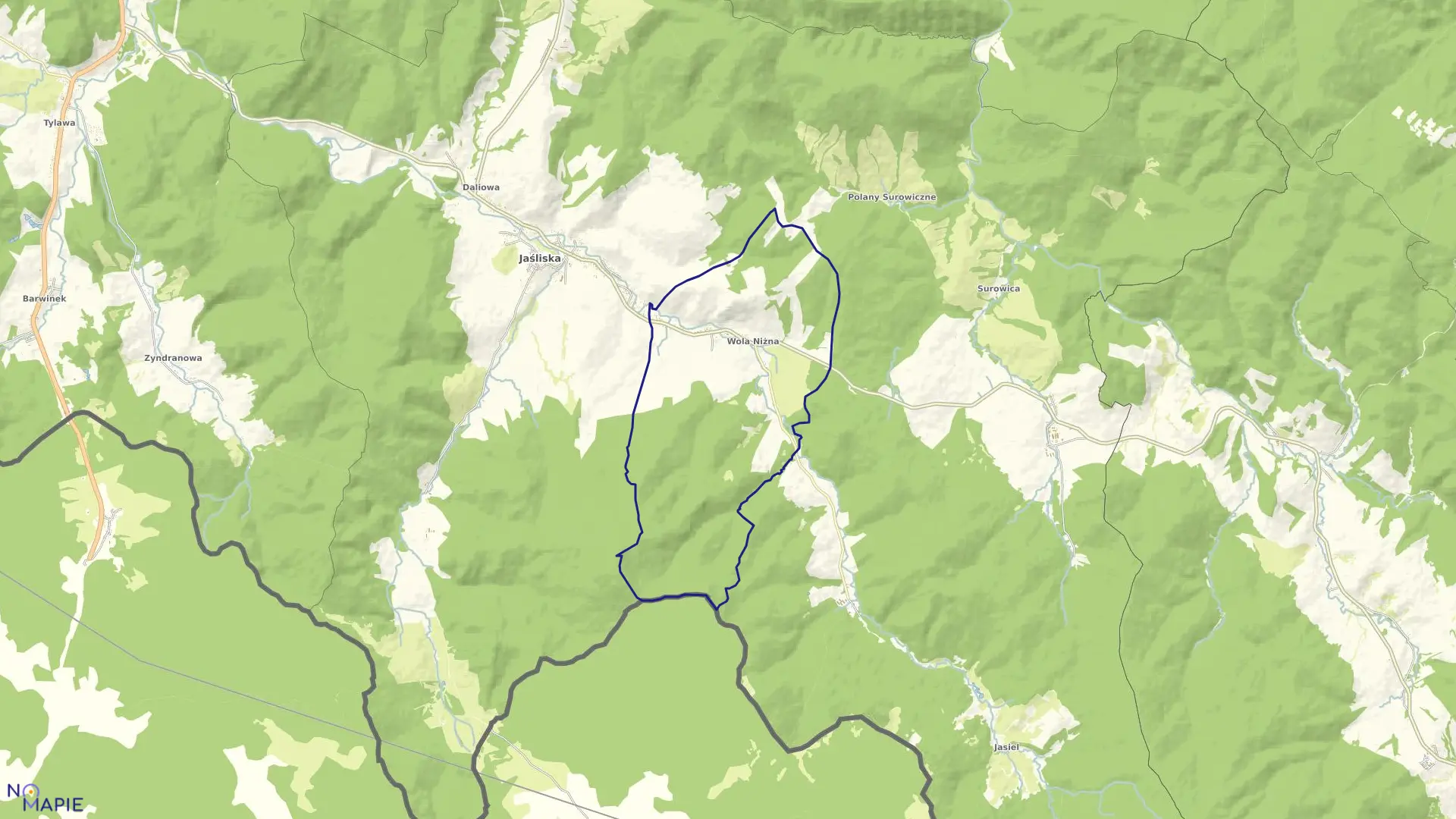 Mapa obrębu Wola Niżna w gminie Jaśliska